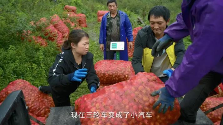 深度还原引发九千万网友围观的中国新农人短片背后的故事