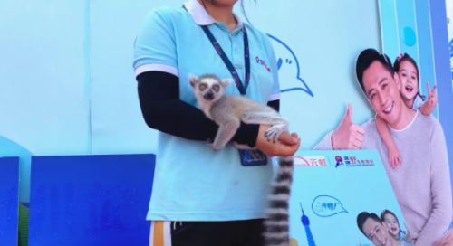 合生元亲亲快跑 传递快乐和幸福