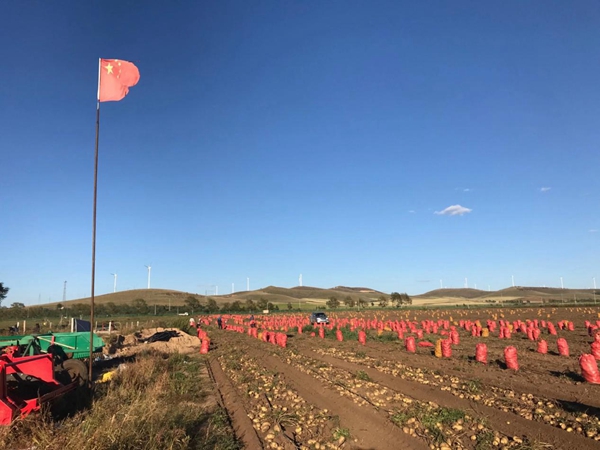 不压车了，赚得更多了！货卡帮农共享挂车引批发商和卡车司机热捧