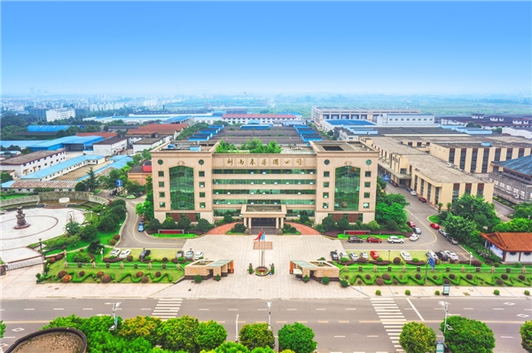 双十一战报