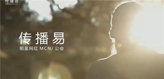 广告商城平台化：传播易做大做强已成趋势