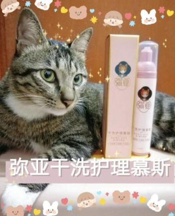 宠物日常清洁 弥亚干洗护理慕斯