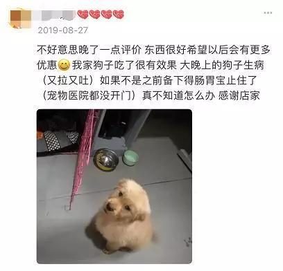 如何选购肠胃宝益生菌？掌握这三点很重要