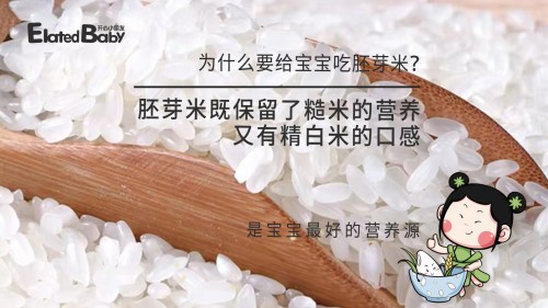 宝宝胚芽米的背后竟藏有这么多大秘密？