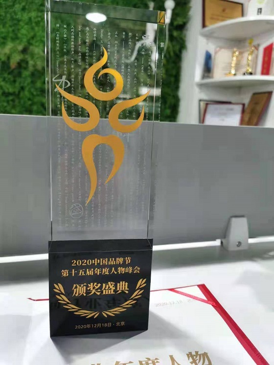 万雪获得2020品牌咨询界年度人物奖