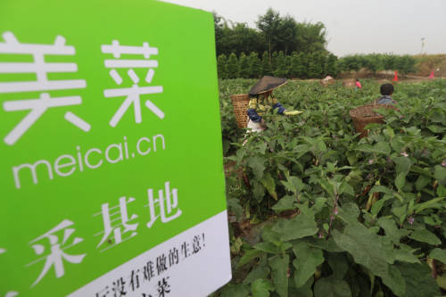 美菜网运用产业化模式解决贫困地区卖菜难问题