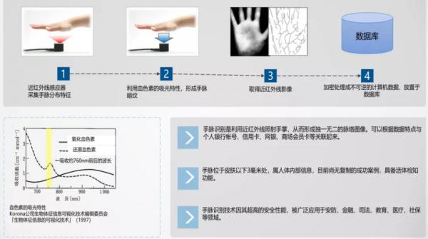 人工智能打造“功夫熊猫”是深兰科技公交智能转型之路之一