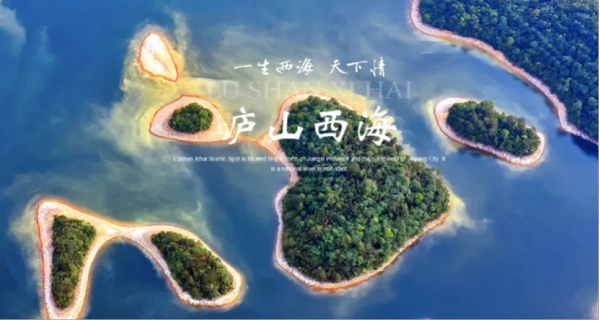 江西省庐山西海领导莅临有传科技探讨流量资产化机遇