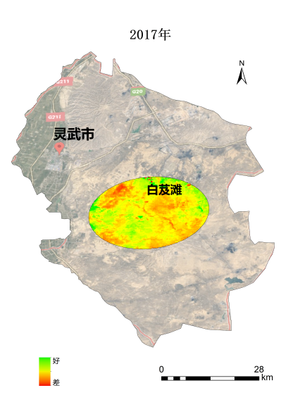 植树节添新绿，平安科技展示“百万植树计划”阶段性成果