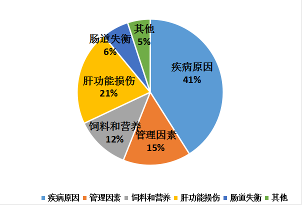 怎样使商品蛋鸡每天产蛋产10年？