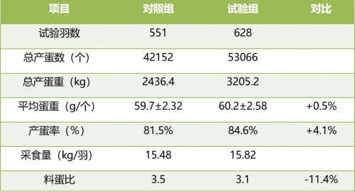 怎样使商品蛋鸡每天产蛋产10年？