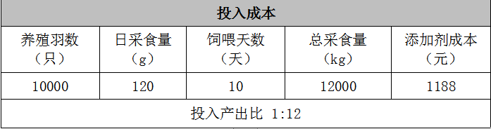 怎样使商品蛋鸡每天产蛋产10年？