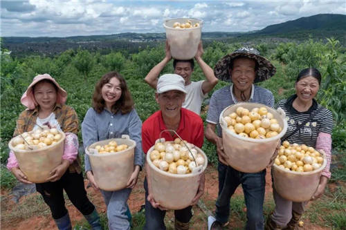 天天果农互联网精准扶贫，全方位多渠道爱心助农