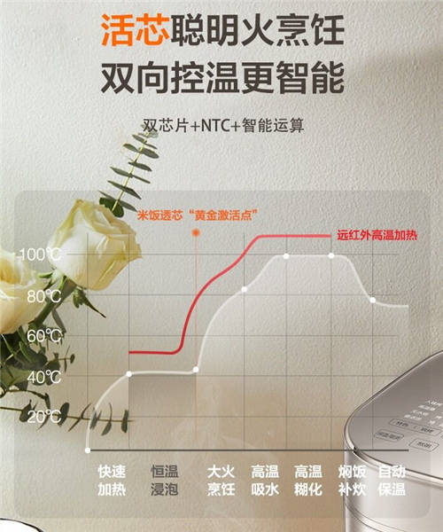 九阳和苏泊尔电饭煲哪个好？该怎么选？