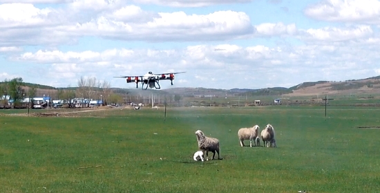 首台无人机试飞成功，中和农信布局精准农业