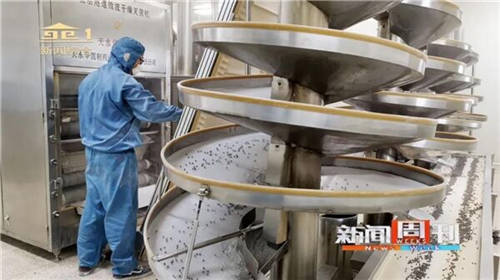 南阳新闻周刊