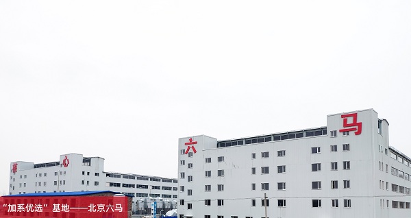 北京六马科技，助推中国生猪行业向科技智慧型发展