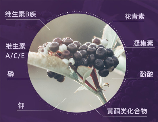 抗“疫”不能停！Sambucol黑接骨木莓糖浆为全家人的健康加码