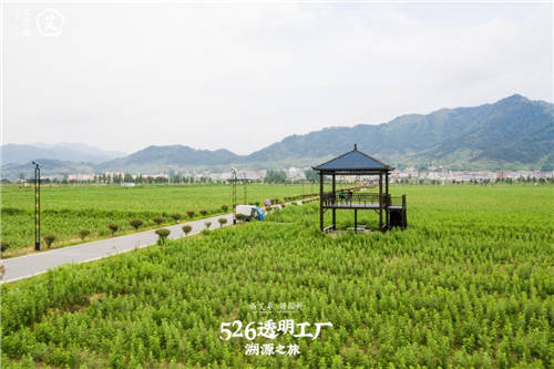 艾艾贴研发生产实力揭秘，以匠心品质传承国粹精华