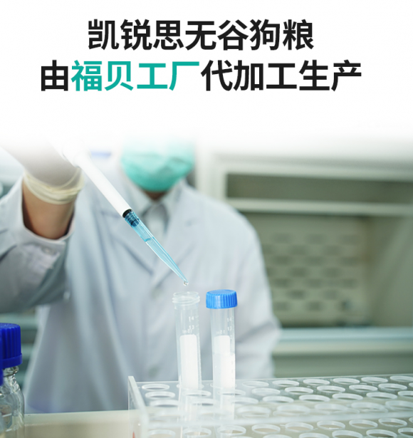 宠物食品安全隐患多？凯锐思品质先行，用心守护爱宠成长