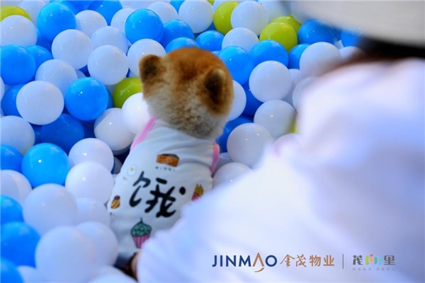 金茂物业萌宠撒欢节圆满结束 萌宠TV见证夏日狂欢