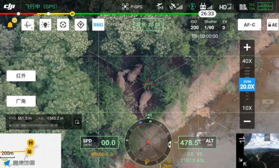 从云南亚洲象北移，看无人机如何发挥动物保护高效能