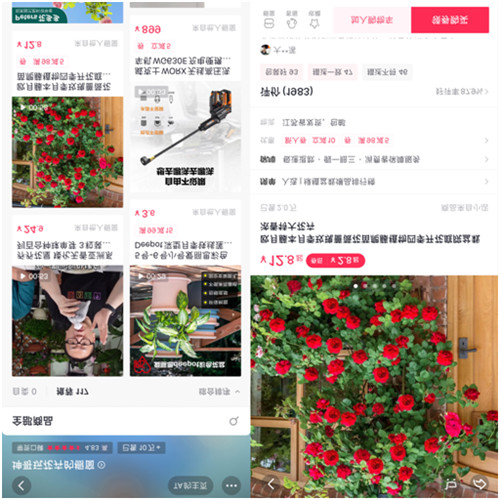 靠“沾花惹草”养家糊口，花卉达人坤哥在抖音电商用知识圈粉600万