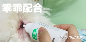 好物分享洁耳舒 不要忘记给狗狗定期用洁耳舒清洁