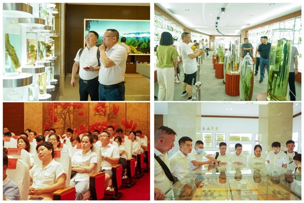 中国医药物资协会浙江代表处半年度会议于仲景宛西制药圆满召开