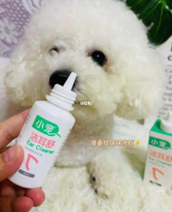 狗狗总是挠耳朵？狗狗耳道清洁就用洁耳舒