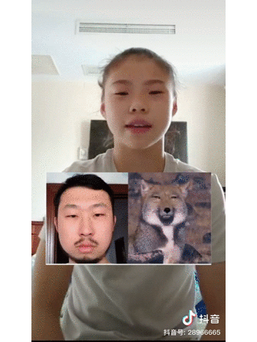 奥运冠军好奇发问：火遍抖音的袋鼠摇到底是啥？现在，鉴定来了！