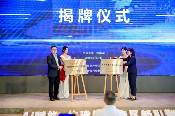 会后报道 