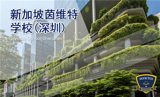 培养孩子适应与创造能力，茵维特“中新”融合课引领国际教育