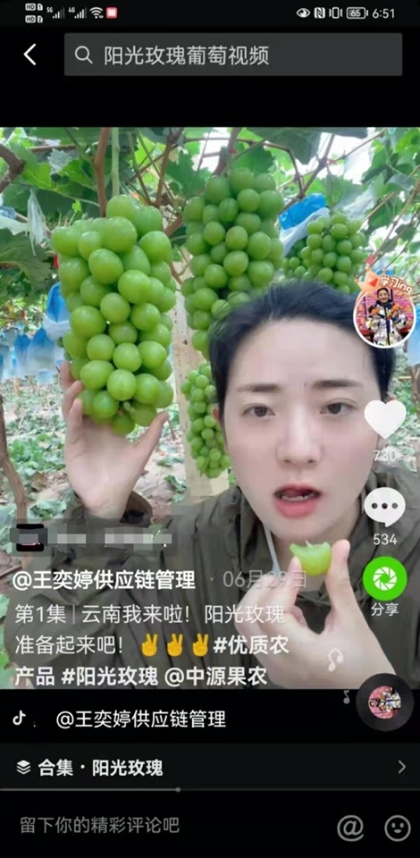 河南姑娘抖音电商创业卖水果，带粉丝跑遍全国原产地