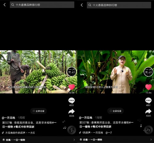 香蕉为什么向上生长?她在抖音为440万人科普植物的奥秘
