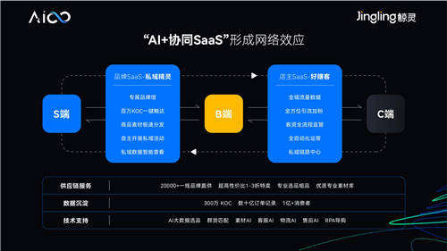 蚂蚁PK大象，私域SaaS协同让这个双十一有点不一样