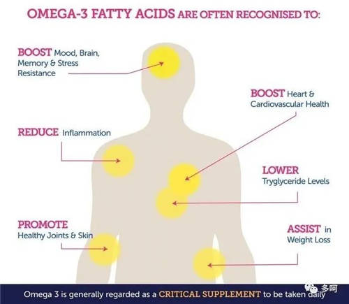 世界首届Omega-3大会圆满落幕，多呵致力Omega-3护肤初衷不改