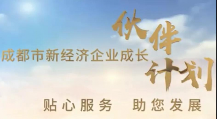 科服集团深度参与“新经济成长伙伴计划”，持续助力新经济企业成长