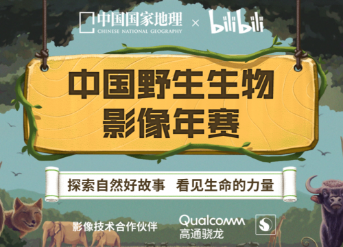 2021年中国野生生物影像年赛落幕，多名B站UP主获奖