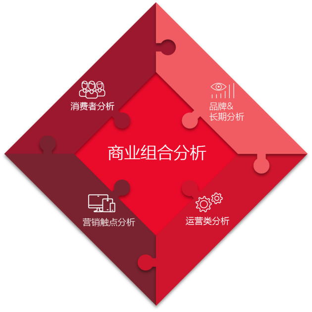 Analytic Partners勘讯咨询