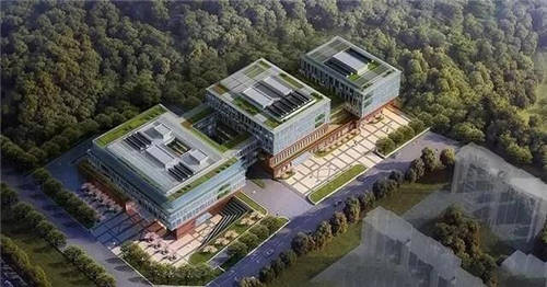 揭秘行业“领头羊”德才股份 数字化、绿色创新的变革之路