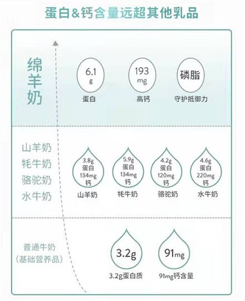 春节送礼选点啥？Spring Sheep®春绵®绵羊奶陪万千家庭过虎年