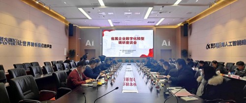 安徽省属企业数字化转型调研座谈会在科大讯飞召开