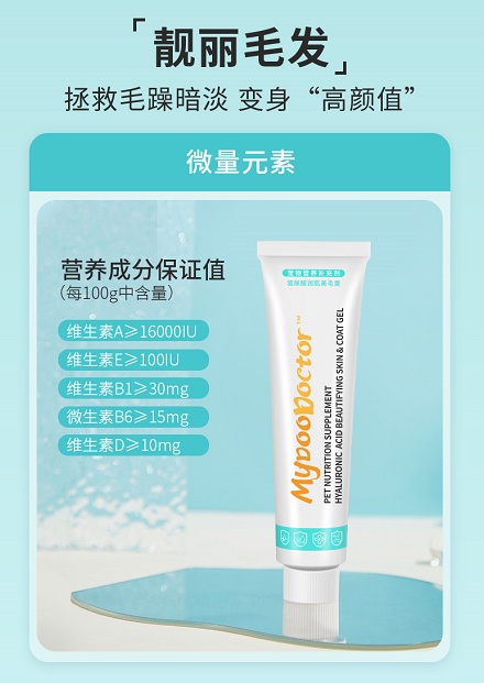泰迪狗爱掉毛褪色怎么办？麦都小蓝管教你美毛方法！
