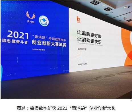 碧橙数字斩获2021“青鸿鹄”创业创新大奖