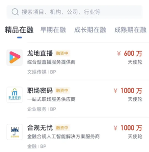 鲸准极速融资进行中 