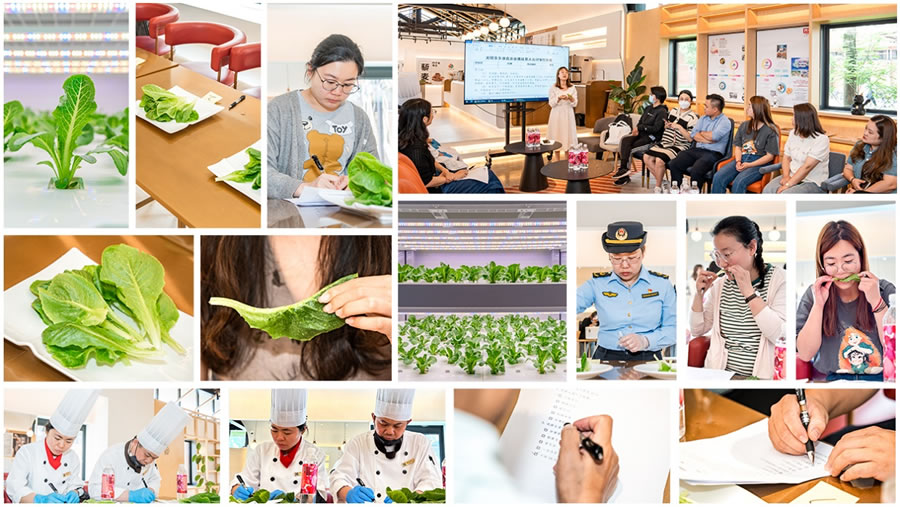 6月6日，15位大众评审对决赛团队种植的“翠恬”生菜进行试吃、打分，上海市长宁区市场监管工作人员进行了现场快检.jpg