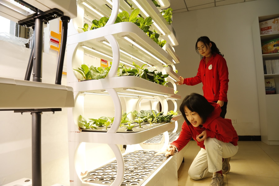 北京西樊各庄科技小院的学生在查看园艺种植机器中植物生长情况.jpg
