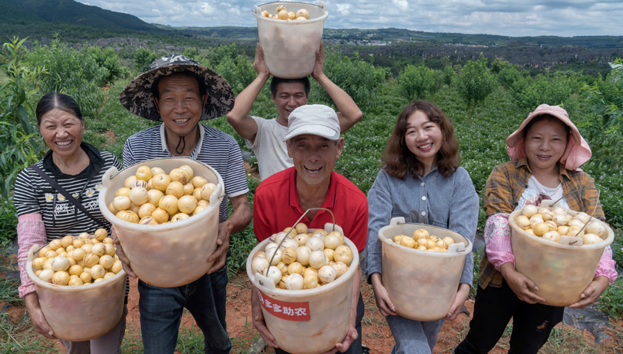 2024中国农产品电商发展报告发布，拼多多从人与技术入手培育新质生产力.jpg