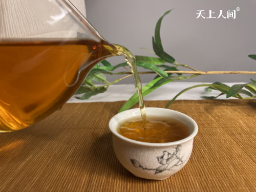 茶叶的功效与禁忌，天上人间带你了解正确饮茶知识